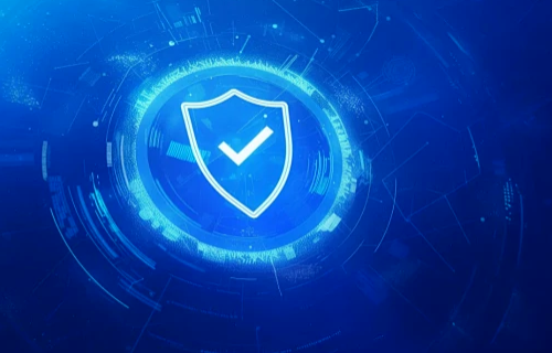 如何保护网站免受常见漏洞攻击?